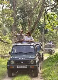 Dawn safari video thumbnail