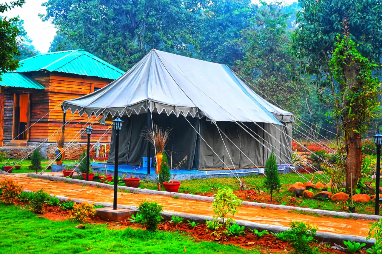 Tribal Eco-Tent accommodation